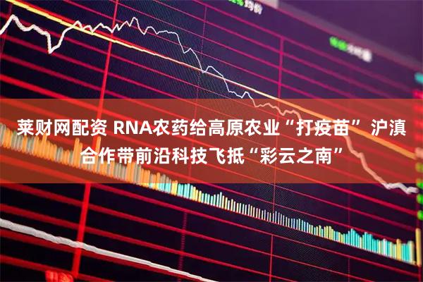 莱财网配资 RNA农药给高原农业“打疫苗” 沪滇合作带前沿科技飞抵“彩云之南”