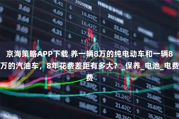 京海策略APP下载 养一辆8万的纯电动车和一辆8万的汽油车，8年花费差距有多大？_保养_电池_电费