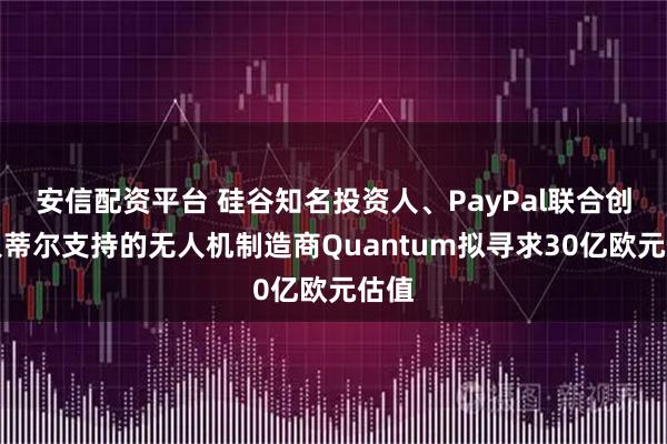 安信配资平台 硅谷知名投资人、PayPal联合创始人蒂尔支持的无人机制造商Quantum拟寻求30亿欧元估值